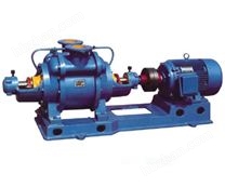 SZ水環(huán)真空泵