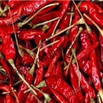 新疆辣椒烘干機(jī)