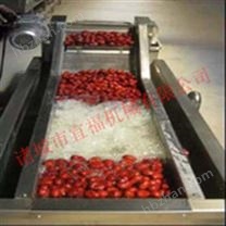 大棗氣泡清洗機(jī)