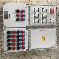 BXMD化工廠消防應(yīng)急照明防爆配電箱供應(yīng)