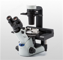CKX53倒置顯微鏡