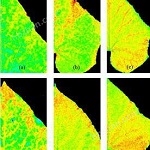 PlantScreen高通量植物表型成像分析系統（野外版）