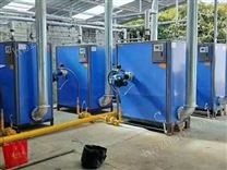 燃?xì)庹羝l(fā)生器