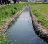 生態(tài)溝渠